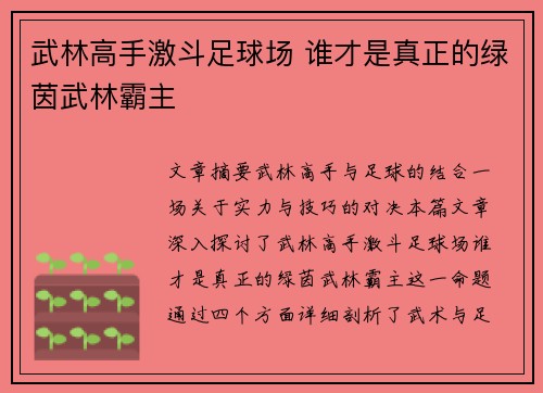 武林高手激斗足球场 谁才是真正的绿茵武林霸主