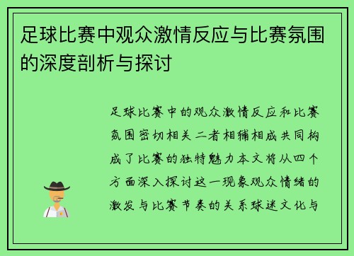 足球比赛中观众激情反应与比赛氛围的深度剖析与探讨