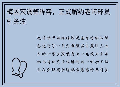 梅因茨调整阵容，正式解约老将球员引关注