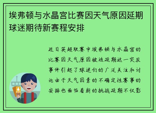 埃弗顿与水晶宫比赛因天气原因延期球迷期待新赛程安排