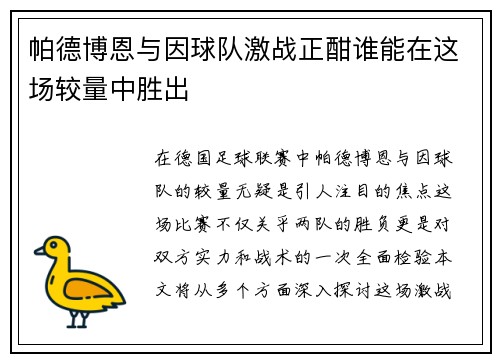 帕德博恩与因球队激战正酣谁能在这场较量中胜出