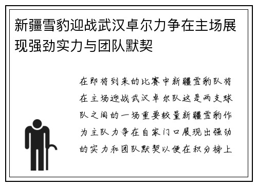 新疆雪豹迎战武汉卓尔力争在主场展现强劲实力与团队默契
