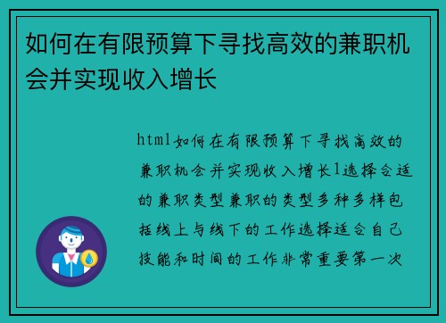 如何在有限预算下寻找高效的兼职机会并实现收入增长